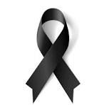 noticia