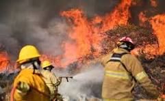 INCENDIO FORESTAL DE PROPORCIONES EN LA ZONA DE "LA VERDE"